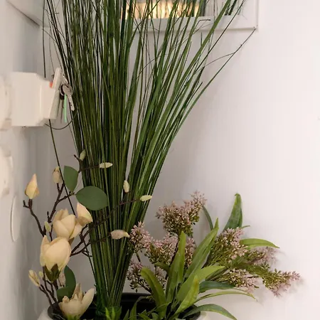 Apartman Miranda's Koszkinú